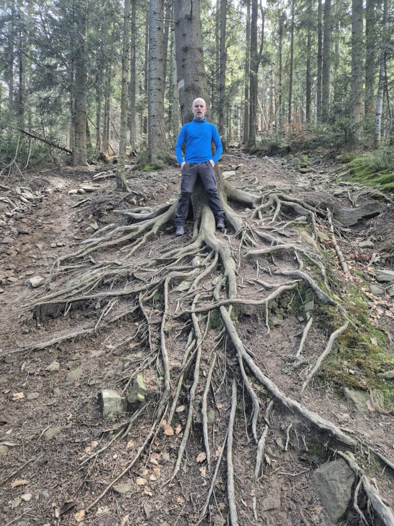 <p>JESTEŚ JAK <strong>DRZEWO</strong></p>
